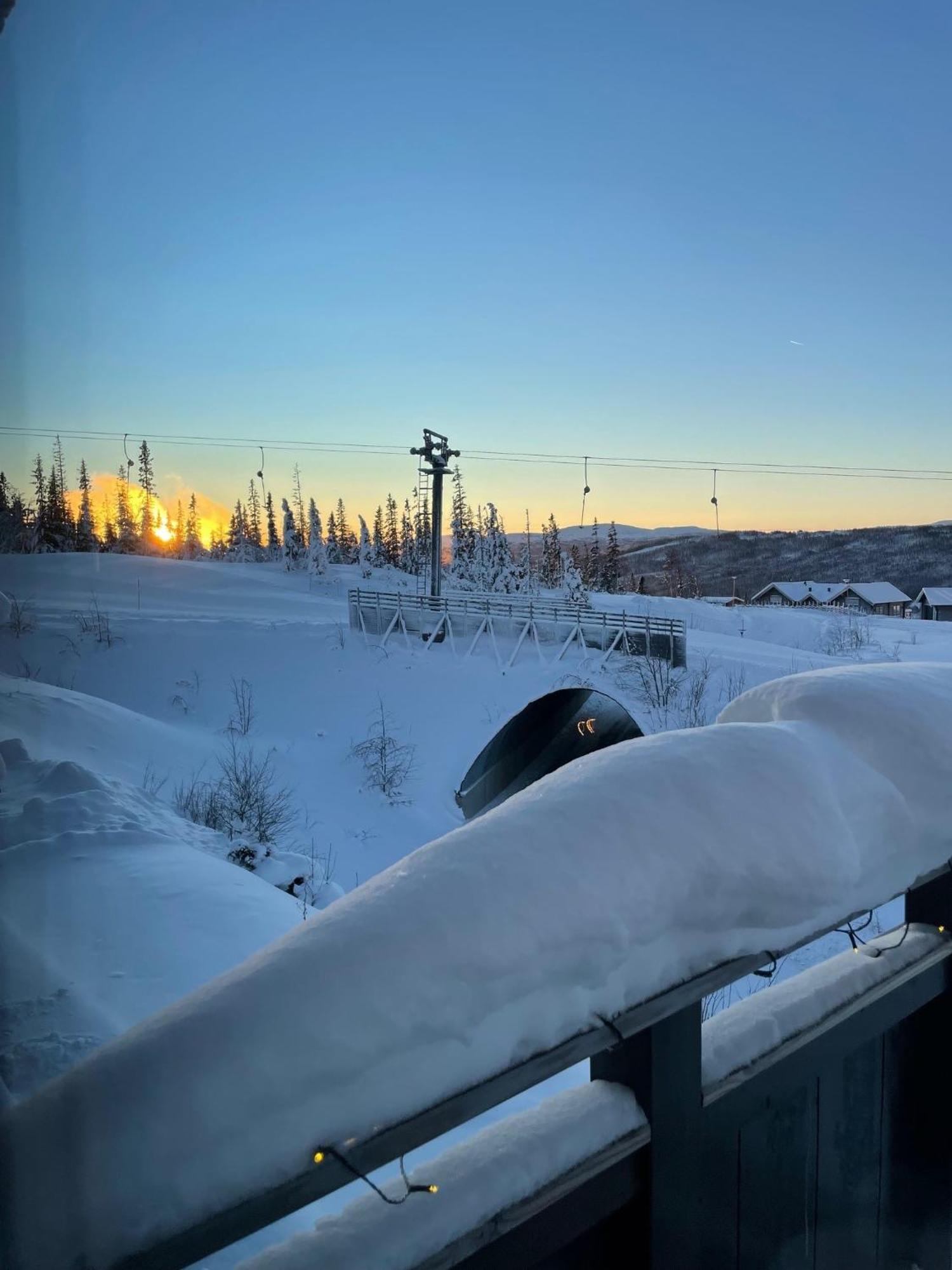 Arebjornen - Sadelen Villa Bagian luar foto